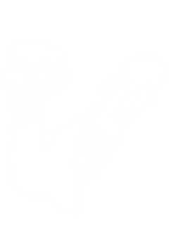 RabidTexas